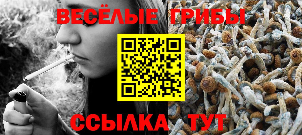 Псилоцибиновые грибы Psilocybe  Вход с VPN  Видное 
