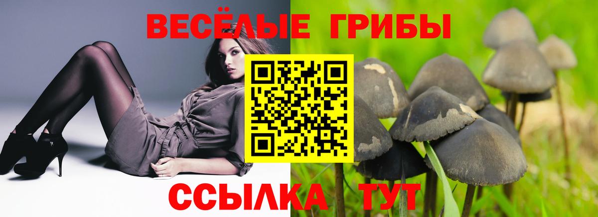 Галлюциногенные грибы Magic Shrooms Видное